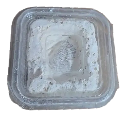 4.Sınıf - Fosil Avcısı