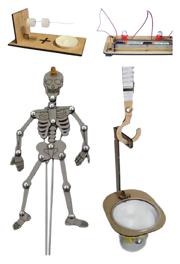 5. Sınıf - MEB Uyumlu Deney Paketi