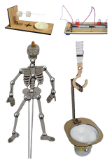 5. Sınıf - MEB Uyumlu Deney Paketi