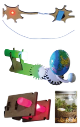 6. Sınıf - MEB Uyumlu Deney Paketi