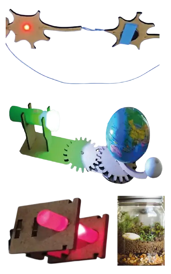 6. Sınıf - MEB Uyumlu Deney Paketi